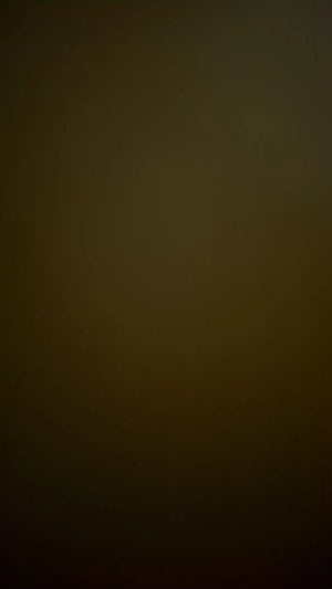 Afae790a09deb4f3abf913edcbe1cc051z.jpg